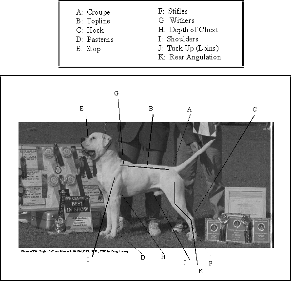 conformationchart.gif